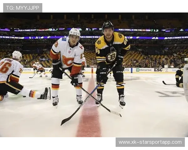 多组NHL首轮系列赛进入抢五决胜阶段,nhl队伍 多组NHL首轮系列赛进入抢五决胜阶段,nhl队伍